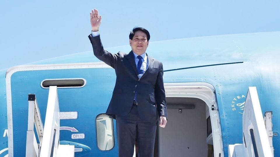 President Luong Cuong and his spouse to pay state visits to Egypt and Angola