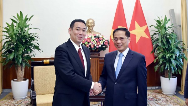 Deputy PM, FM Bui Thanh Son receives Japanese party official