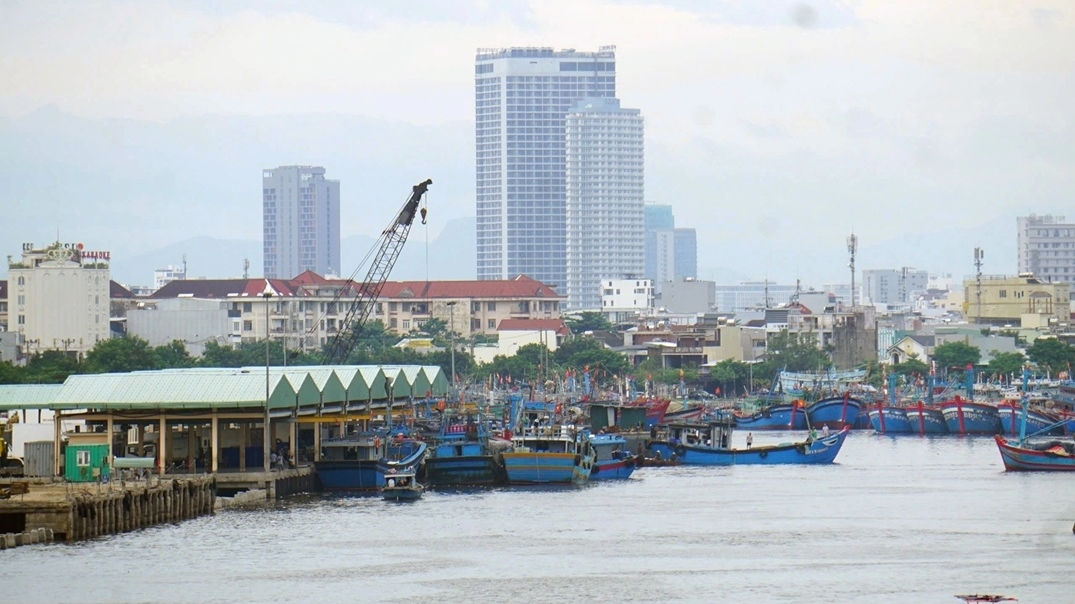 Da Nang ports tighten monitoring to combat IUU fishing and lift EC yellow card