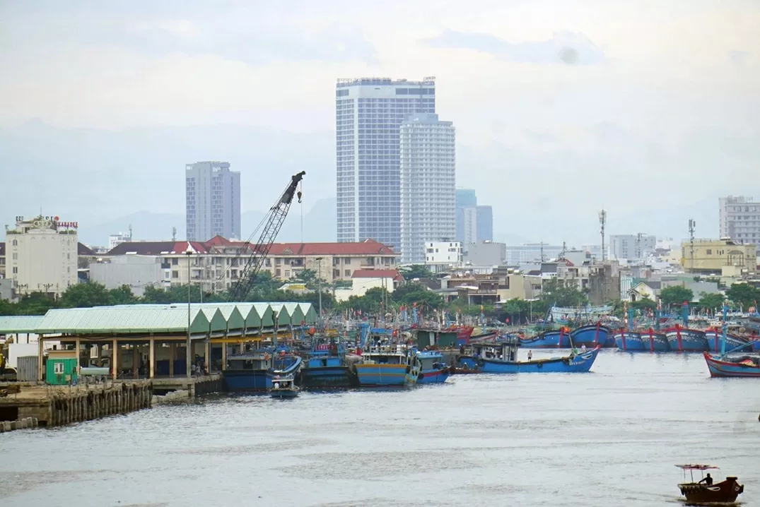 Da Nang strengthens port-based monitoring to curb IUU fishing. (Photo: Nguyen Tu/thanhnien.vn)