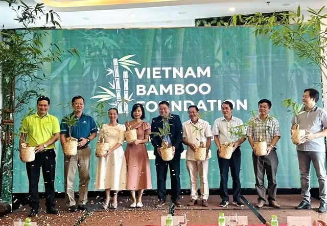 New foundation champions bamboo for sustainability, heritage preservation New foundation champions bamboo for sustainability, heritage preservation