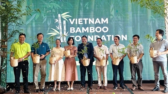 Vietnam Bamboo Foundation champions bamboo for sustainability, heritage preservation