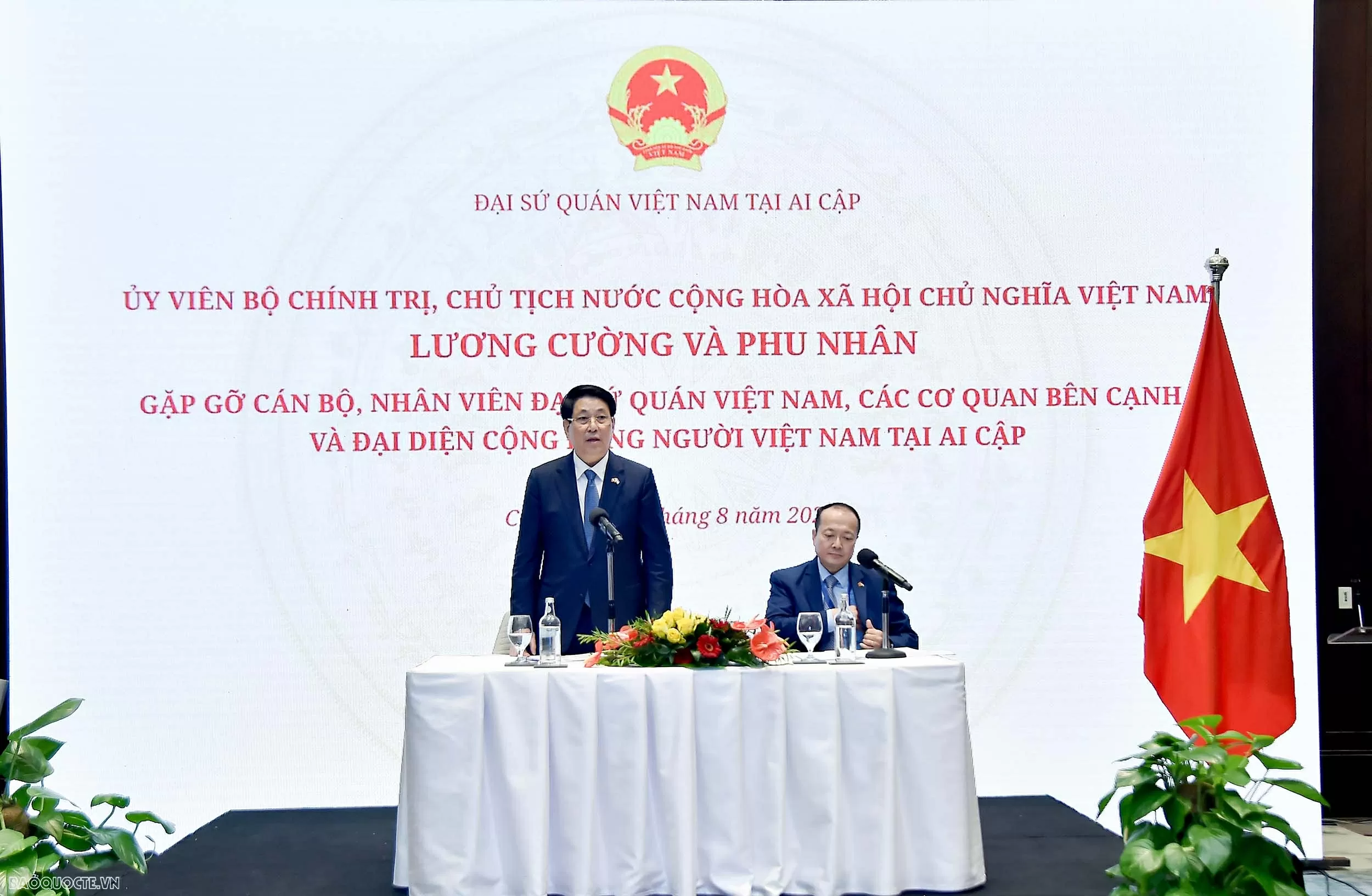 President Luong Cuong meets with Vietnamese embassy staff, community in Egypt