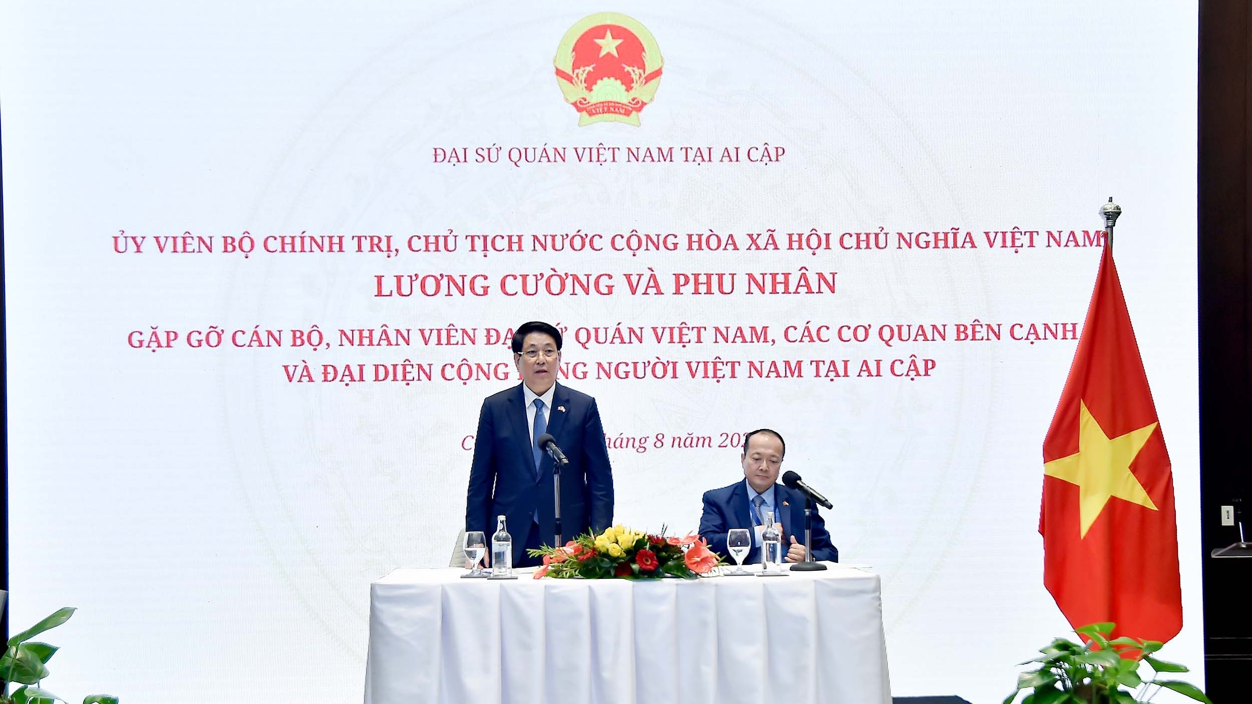 President Luong Cuong meets with Vietnamese Embassy staff, community in Egypt