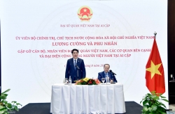 President Luong Cuong meets with Vietnamese Embassy staff, community in Egypt