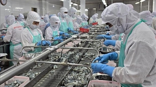 Rise in export turnover helps boost economic growth