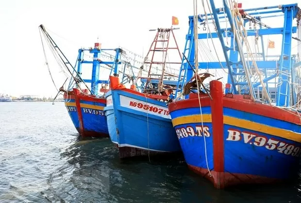 Proactive measures help Dong Thap stamp out IUU fishing violations Proactive measures help Dong Thap stamp out IUU fishing violations