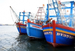 Dong Thap province takes proactive measures to eradicate IUU fishing violations