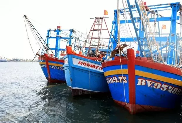 Dong Thap province takes proactive measures to eradicate IUU fishing violations
