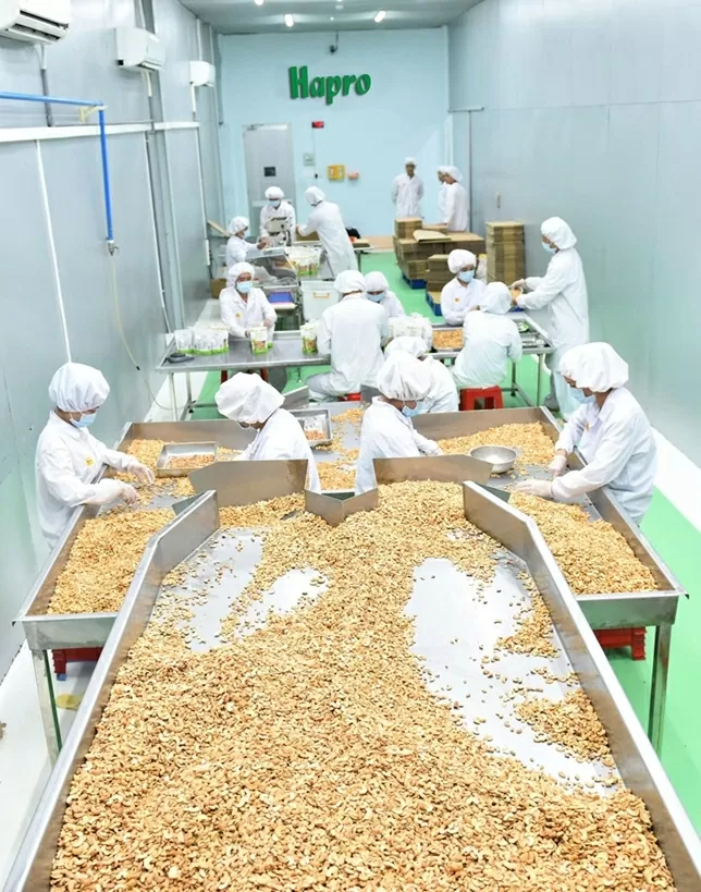 HAPRO and the journey to bring Vietnam's National Brand to the world HAPRO and the journey to bring Vietnam's National Brand to the world