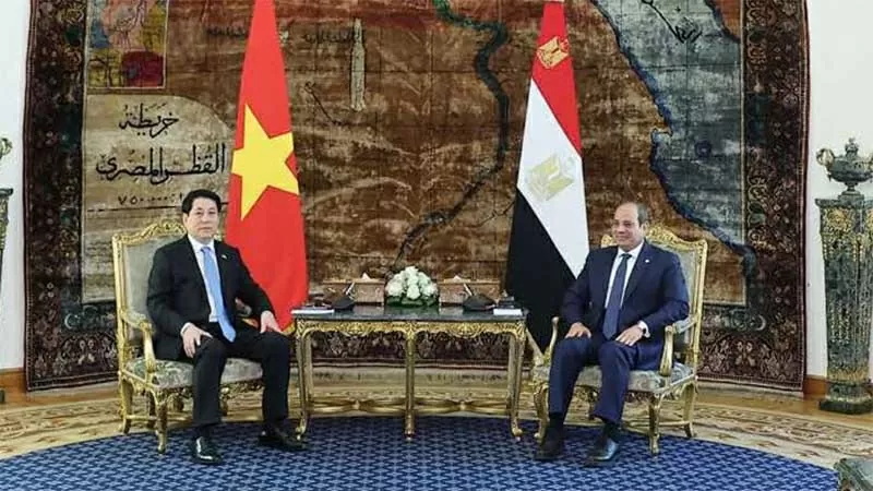 President Luong Cuong and Egyptian President Abdel Fattah El‑Sisi hold talks to elevate ties to Comprehensive Partnership