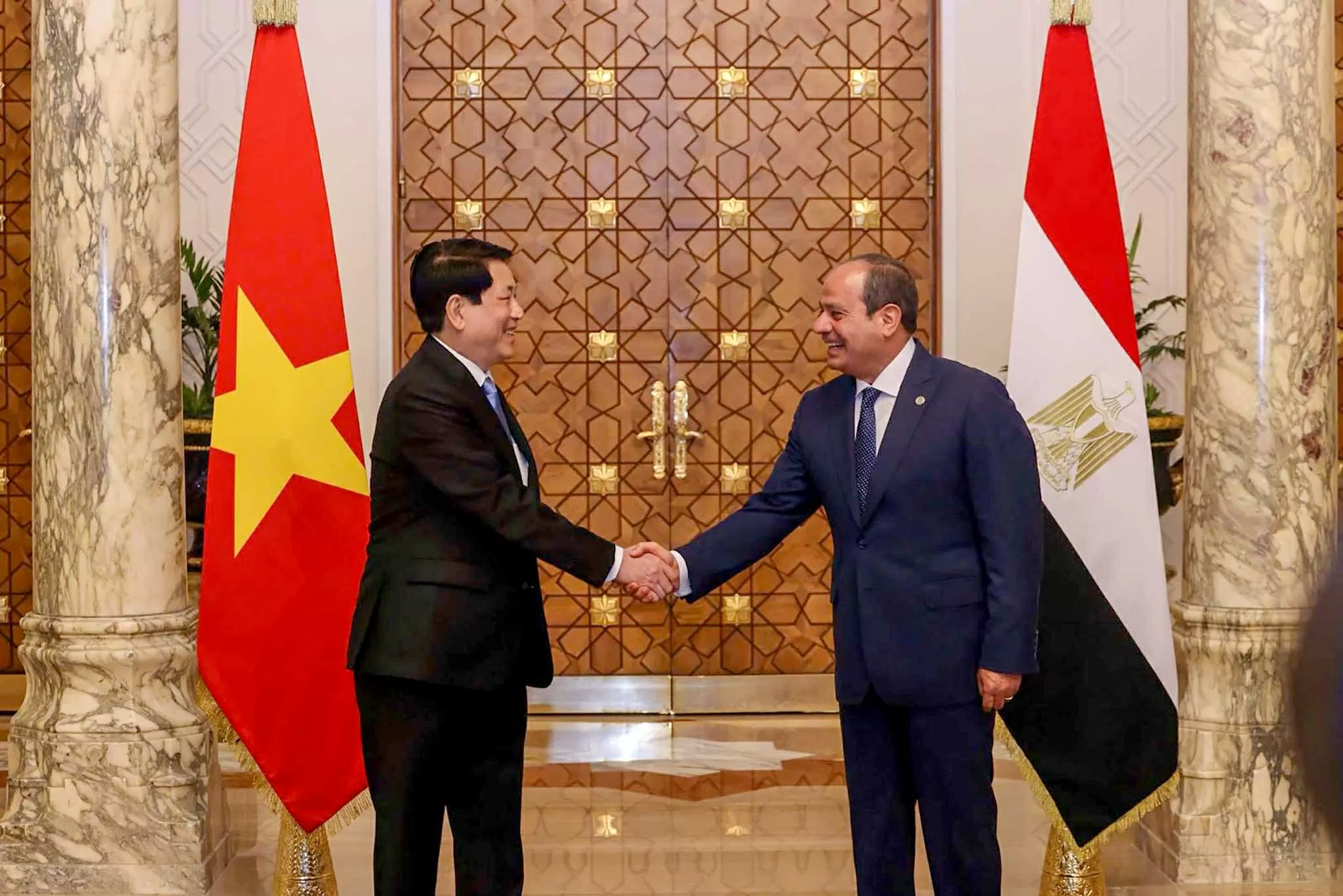 President Luong Cuong and Egyptian President hold talks, agree to lift ties to Comprehensive Partnership