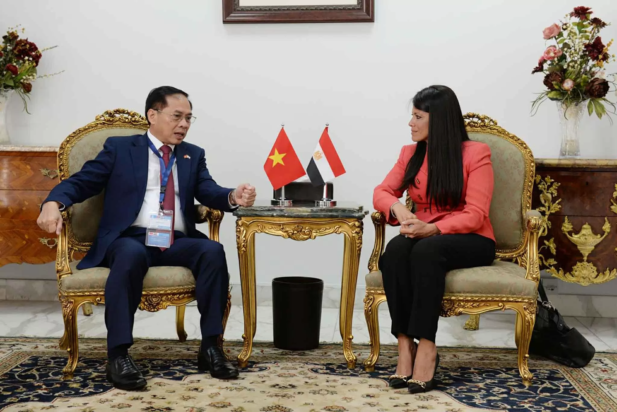 Deputy PM, FM Bui Thanh Son and Egypt Minister hold meeting to promote economic ties