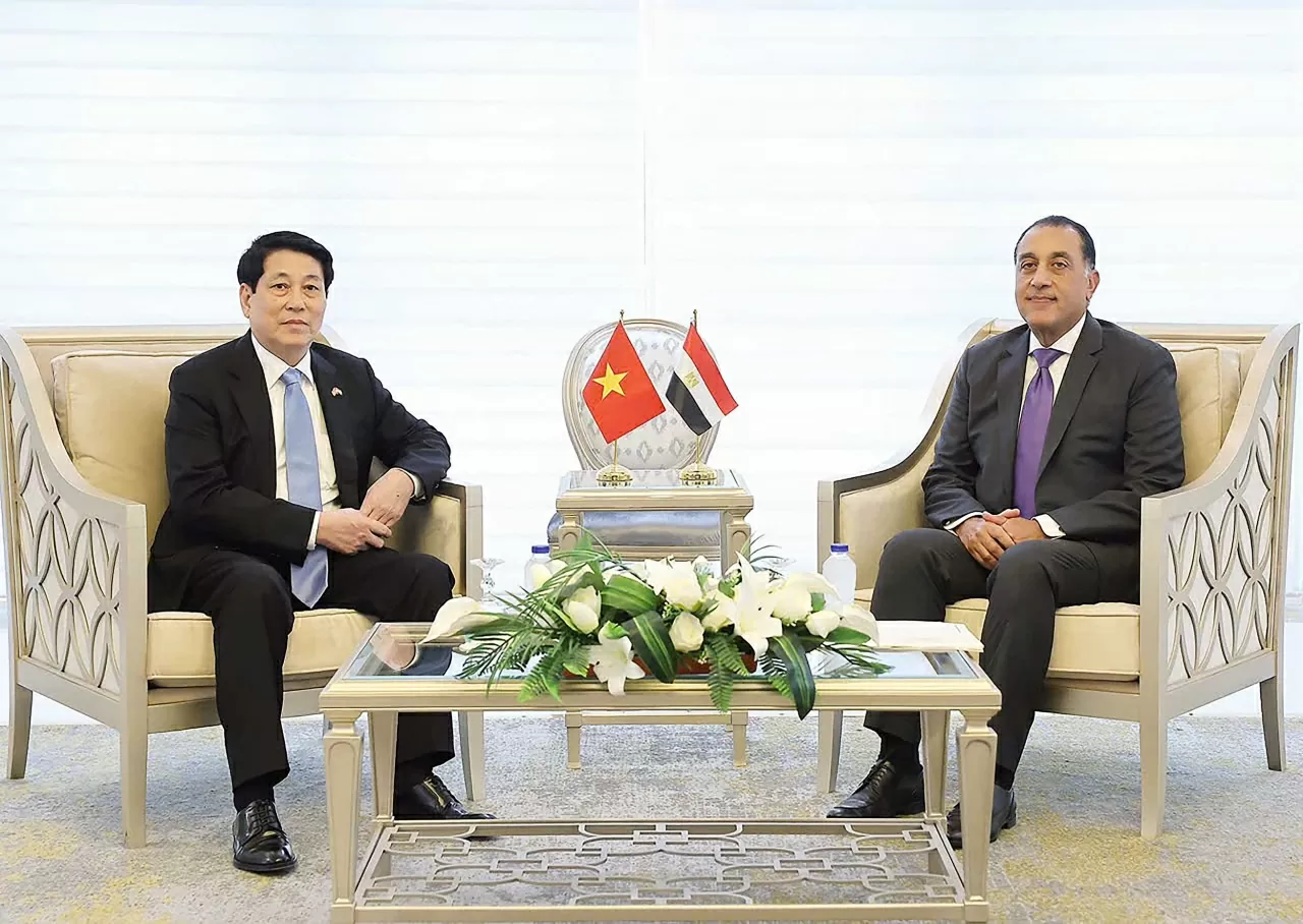 President Luong Cuong meets with Egyptian Prime Minister Mostafa Madbouly in Cairo