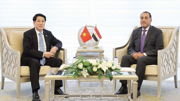 President Luong Cuong meets with Egyptian Prime Minister Mostafa Madbouly in Cairo