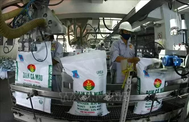 Ambassador Fernando Miguel: Approach the Angolan market with the mindset of a long-term strategic partner, building a sustainable value chain