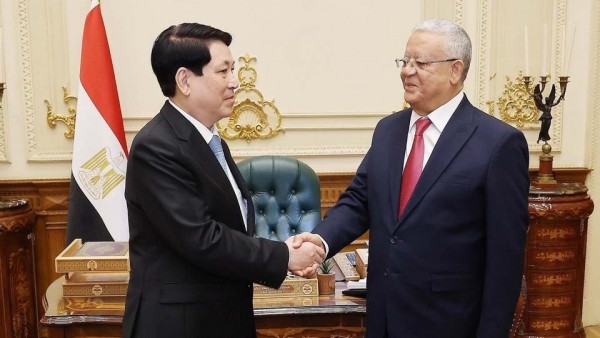 President Luong Cuong meets Speaker of Egyptian House of Representatives in Cairo