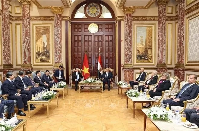 Vietnam, Egypt leaders agree to strengthen parliamentary cooperation