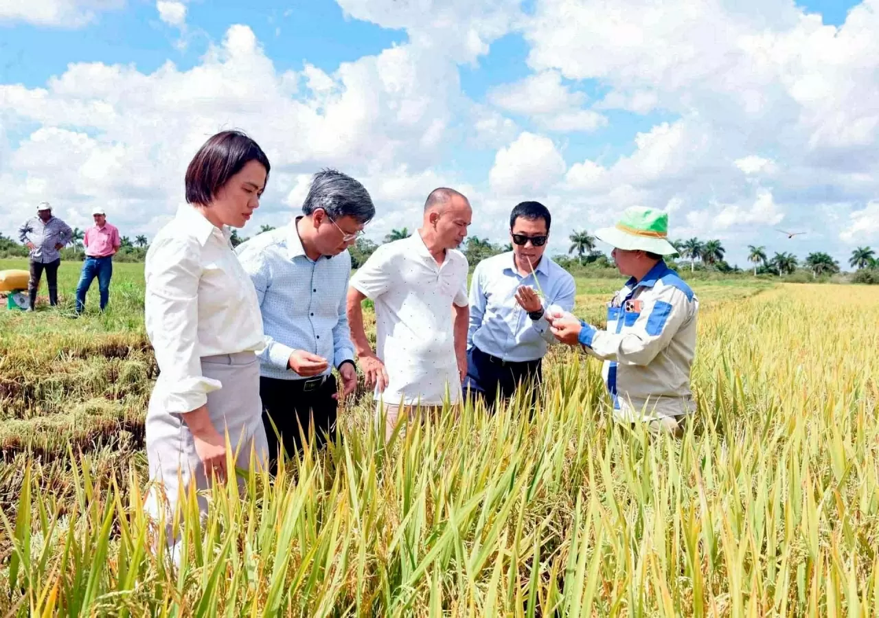 Vietnam-Cuba: 65 years of partnership and development
