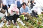 Korea: Ministry to intensify labor inspections to tackle rights violations against migrant workers