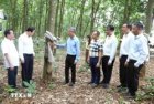 Vietnam strengthens investment and economic ties in northeastern Cambodia
