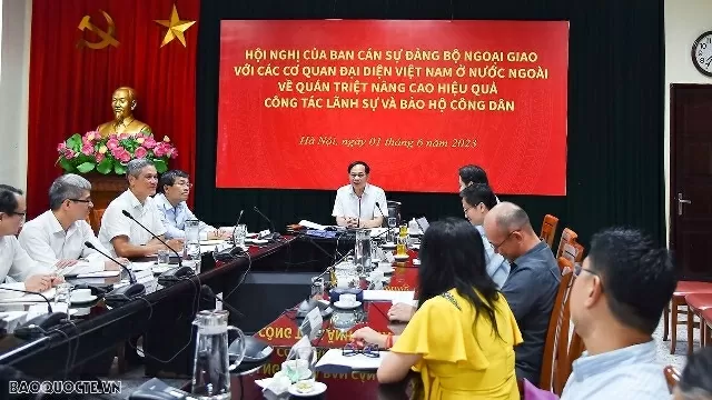Consular work and citizen protection contribute to Vietnam’s diplomatic achievements: Deputy FM Le Thi Thu Hang