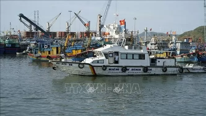 Gia Lai authorities, fishermen join hands in carrying out ECs recommendations Gia Lai authorities, fishermen join hands in carrying out ECs recommendations