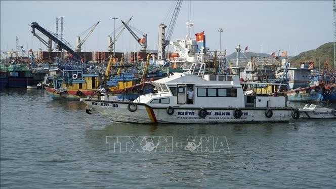 Gia Lai authorities, fishermen carry out EC's recommendations