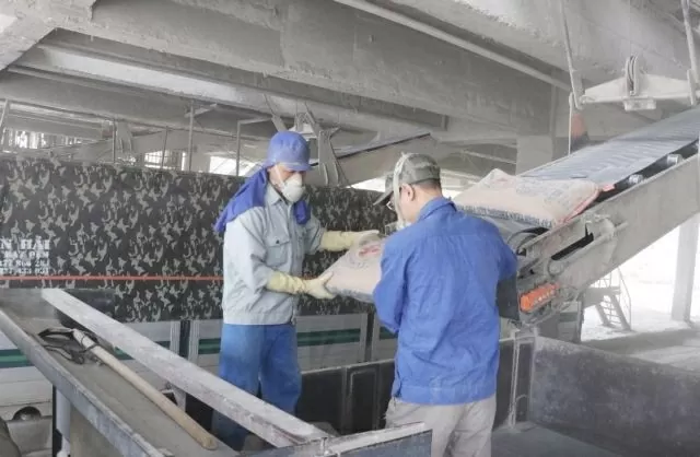 Cement industry eyes recovery in 2025 after years of glut Cement industry eyes recovery in 2025 after years of glut