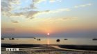 Quang Ninh: Co To Special Zone boosts marine economy