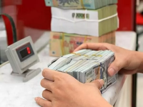 Reference exchange rate down 4 VND at week’s beginning