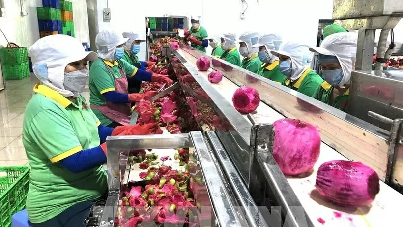 Diversifying markets becomes key for agricultural product exports to achieve yearly target