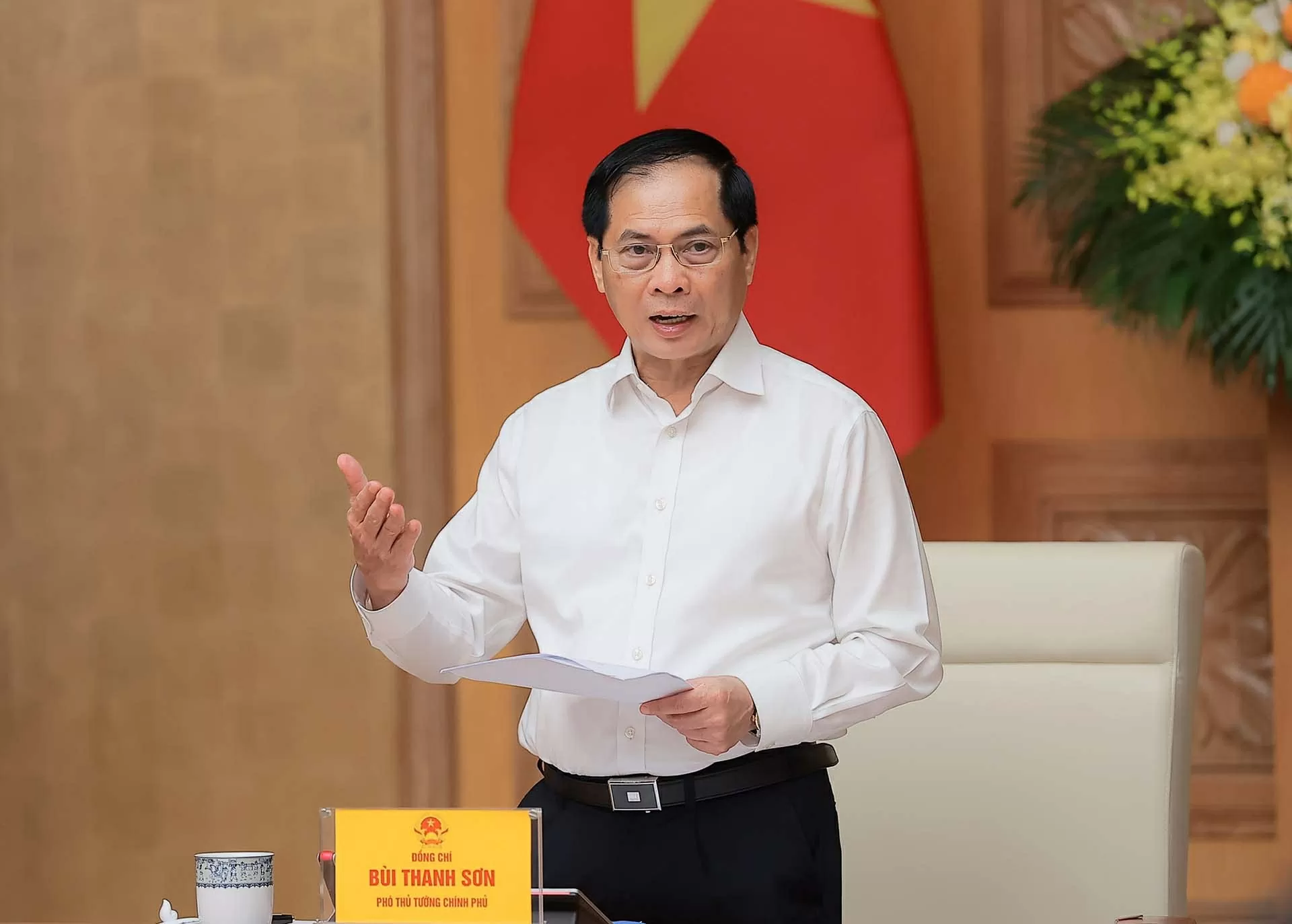 Deputy Prime Minister Bui Thanh Son Deputy Prime Minister Bui Thanh Son