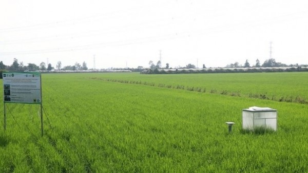 Vietnam moves toward low-emission farming to boost sustainability