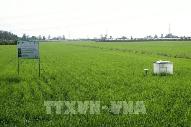 Vietnam moves toward low-emission farming to boost sustainability Vietnam moves toward low-emission farming to boost sustainability