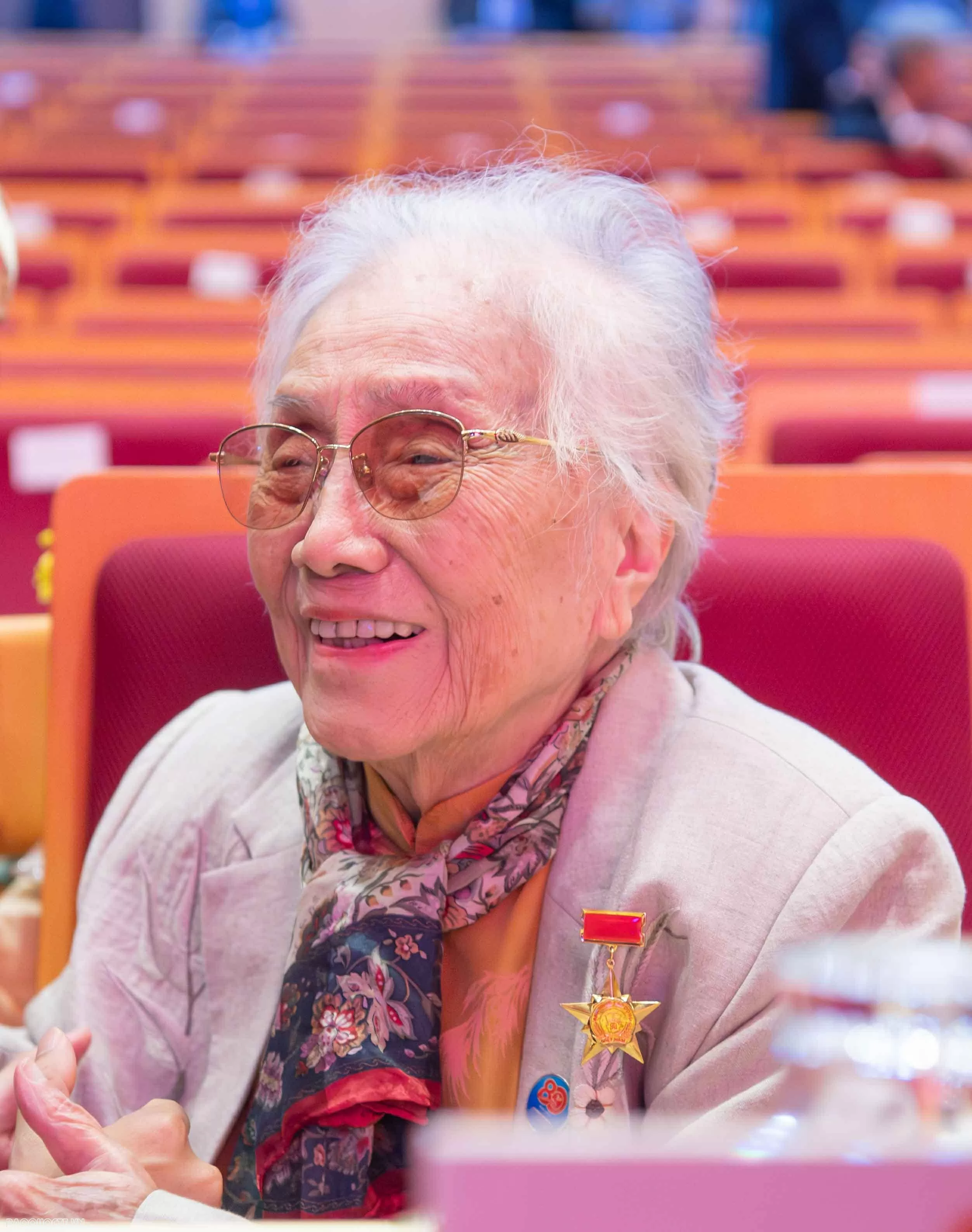 Former Vice President Nguyen Thi Binh conferred the title ‘Hero of Labour’