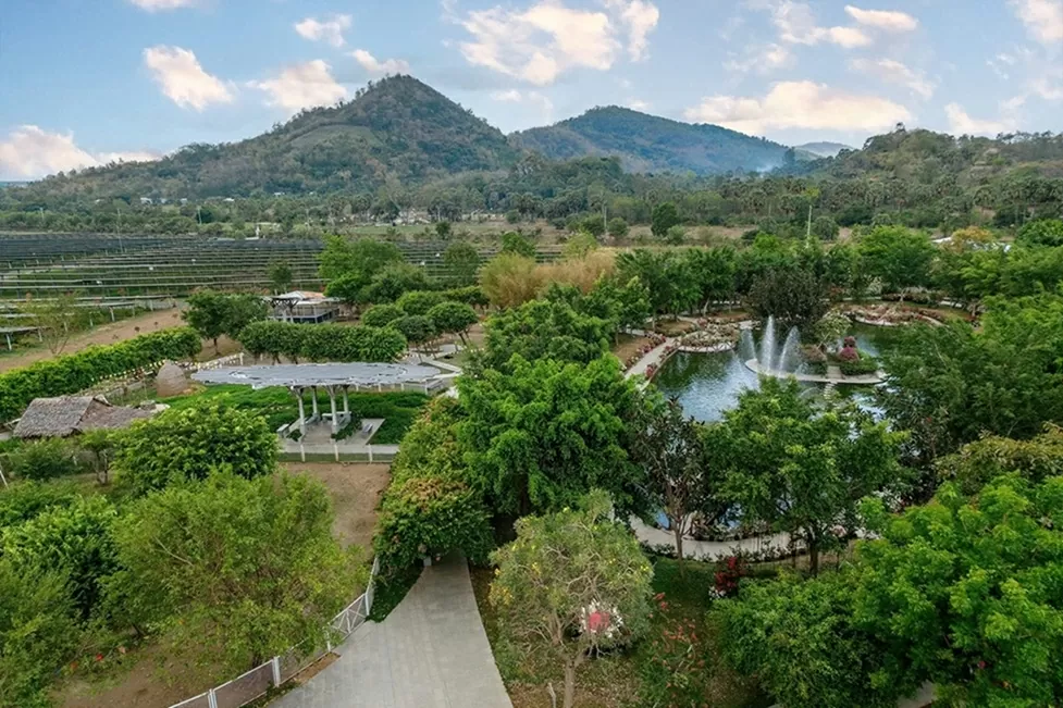 Không khô khan như định nghĩa “nhà máy điện” thường thấy. Không khô khan như định nghĩa “nhà máy điện” thường thấy.