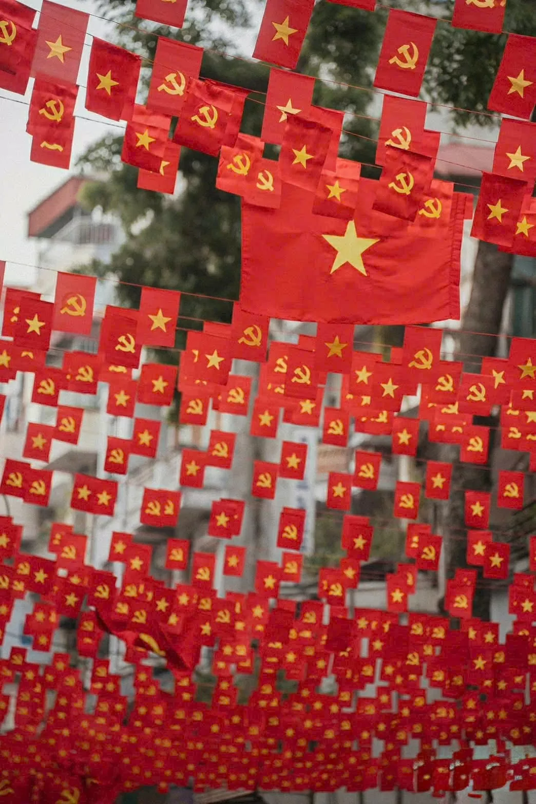 80 Years of National Day: Hanoi radiant in brilliant red, poetic and beautiful