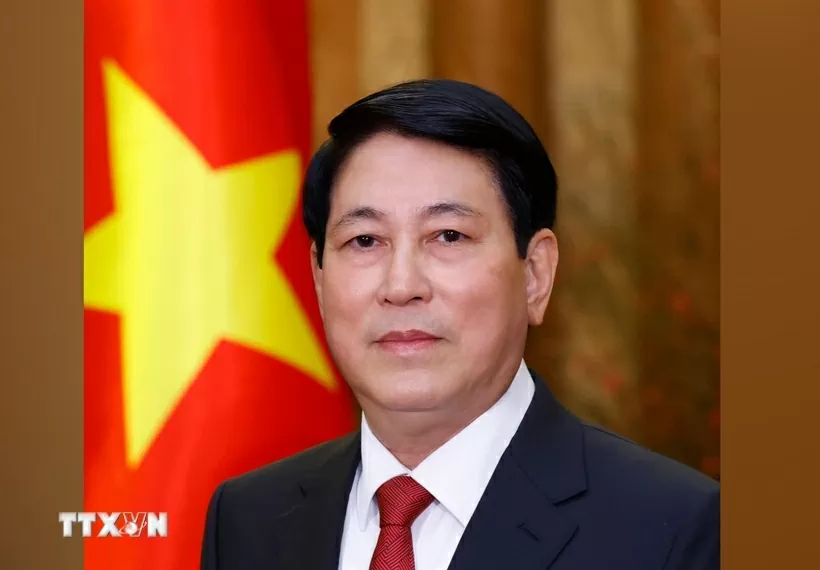 President Luong Cuong to attend 80th anniversary of victory over fascism in China President Luong Cuong to attend 80th anniversary of victory over fascism in China