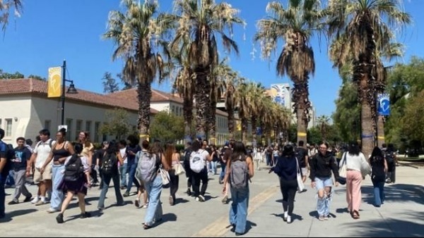 US computer science graduates return to school as jobs lost to AI