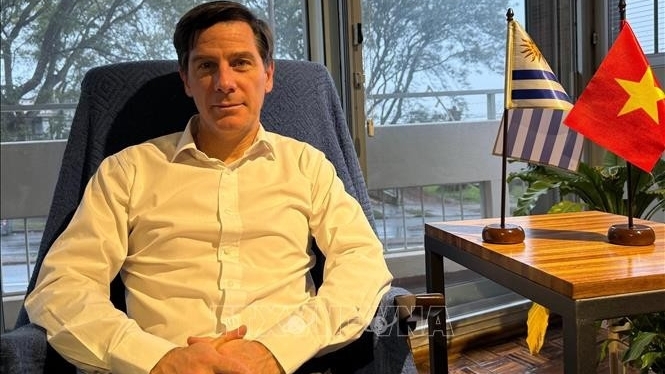 Vietnam has made remarkable progress in development and integration: Uruguayan scholar