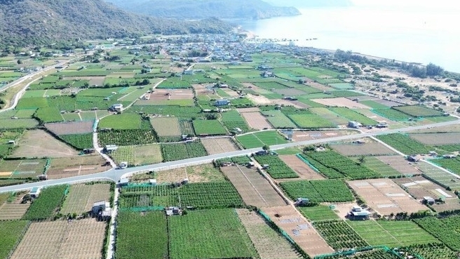 Khanh Hoa: Nuclear power project seen as new growth engine