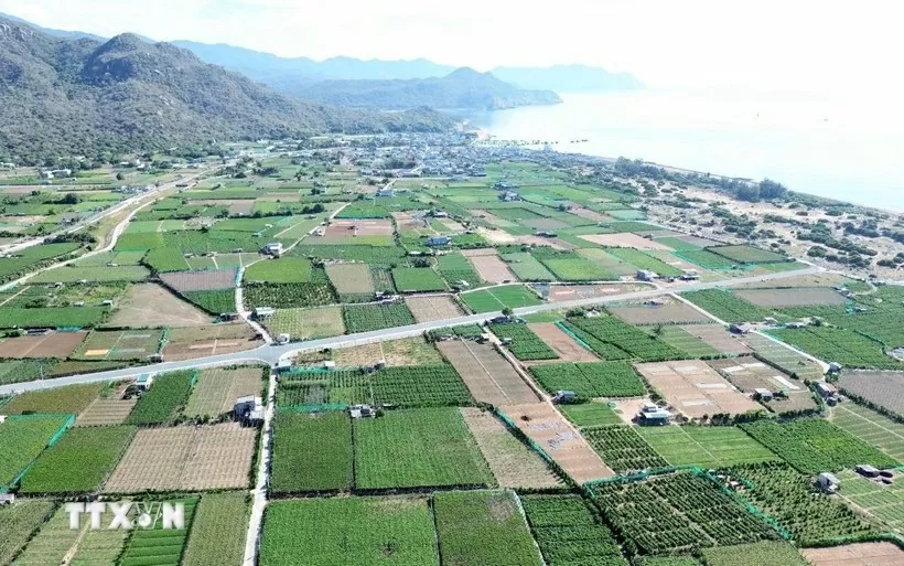 Khanh Hoa: Nuclear power project seen as new growth engine Khanh Hoa: Nuclear power project seen as new growth engine