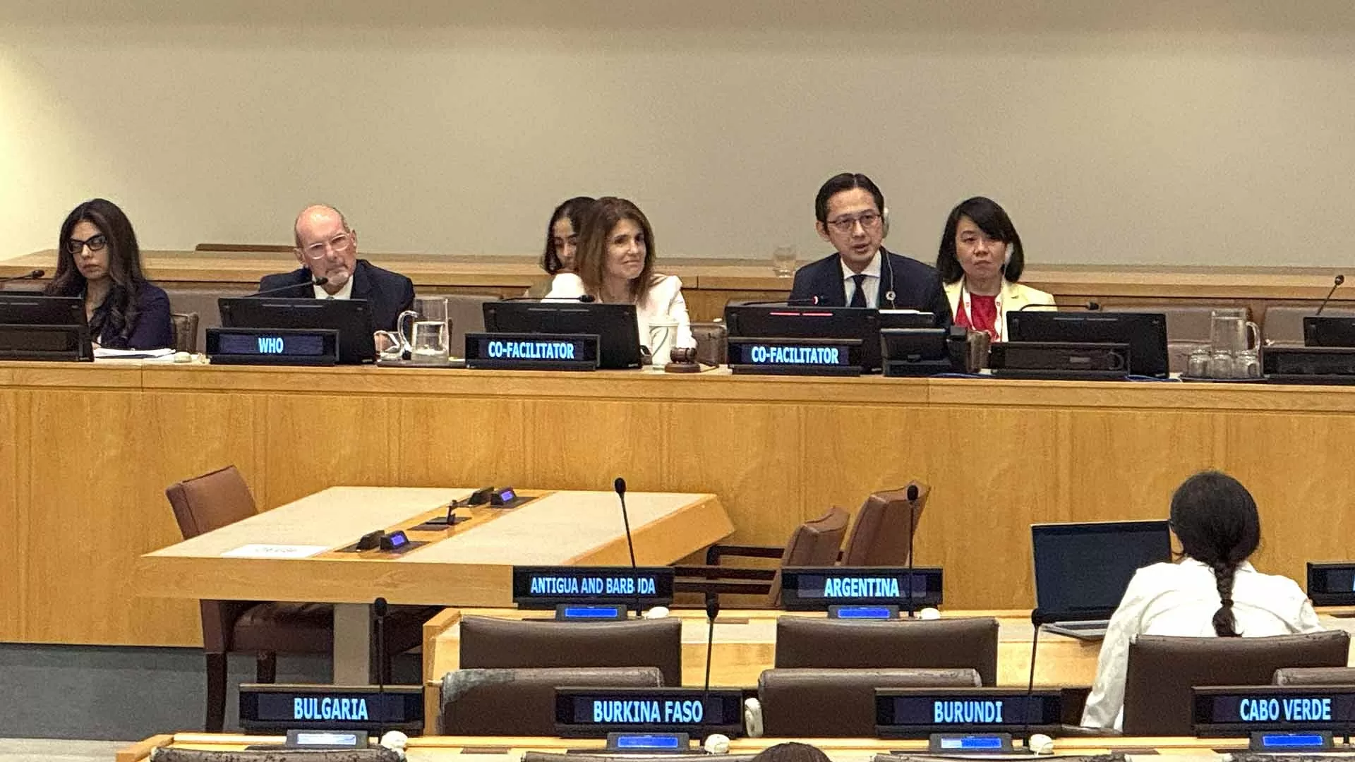 Vietnam coordinates UN General Assembly Resolution on high-level conference on disease prevention and control Vietnam coordinates UN General Assembly Resolution on high-level conference on disease prevention and control