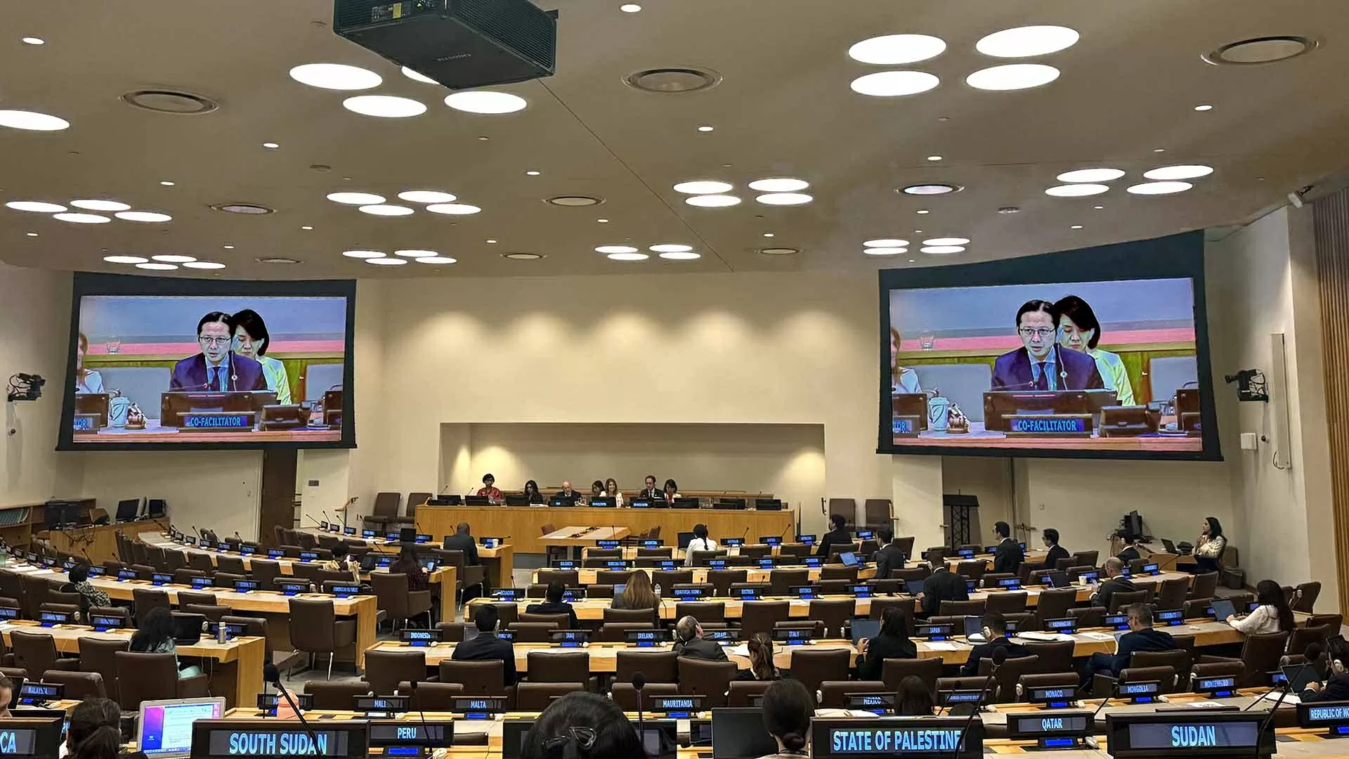Vietnam coordinates UN General Assembly Resolution on high-level conference on disease prevention and control Vietnam coordinates UN General Assembly Resolution on high-level conference on disease prevention and control
