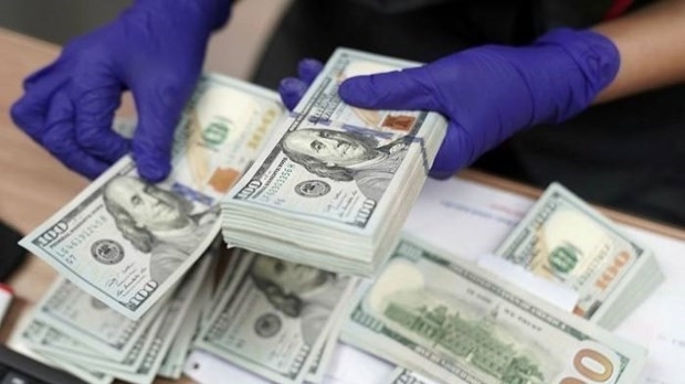 Reference exchange rate at 25,236 VND/USD, down at week’s beginning
