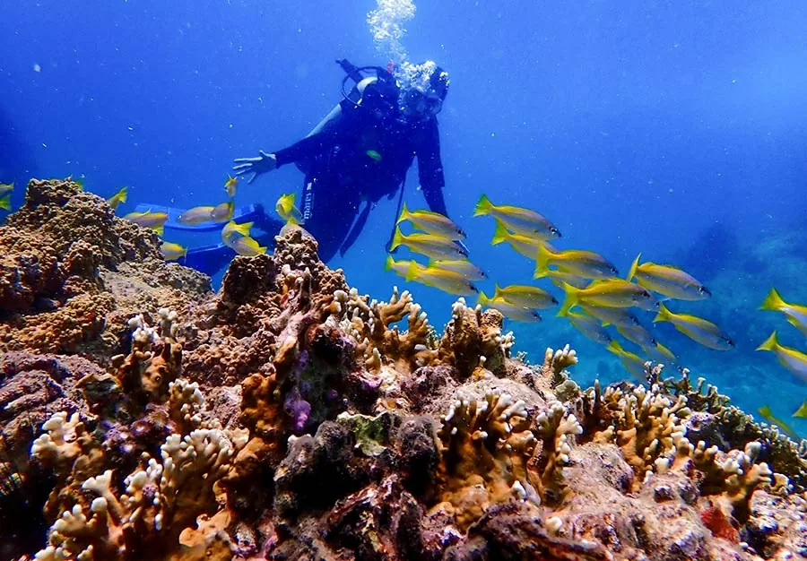 Vietnam tourism – An adventure paradise for international travelers