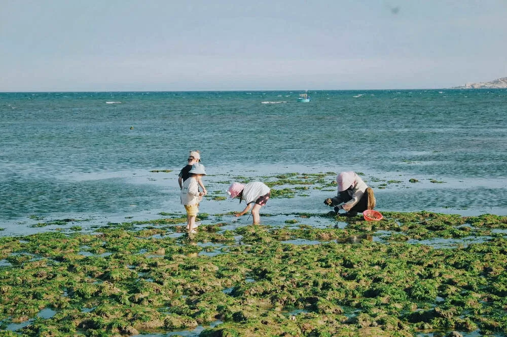 Discover five picture-perfect fishing villages in Khanh Hoa Discover five picture-perfect fishing villages in Khanh Hoa