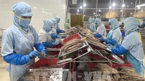 Vietnam eyes EU as key destination for agro-forestry-fishery exports