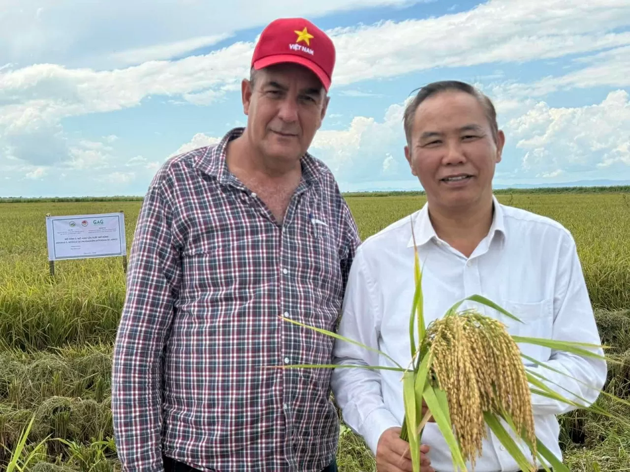 Vietnam-Cuba agricultural cooperation expands from rice to livestock, aquaculture, and biotechnology Vietnam-Cuba agricultural cooperation expands from rice to livestock, aquaculture, and biotechnology